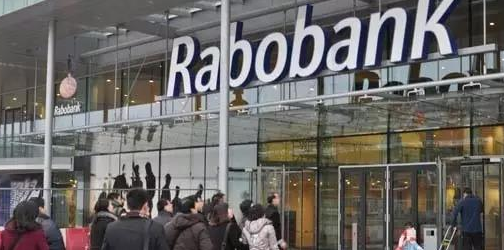 亚洲学生到访荷兰参访全球500强-Rabobank（荷兰合作银行）