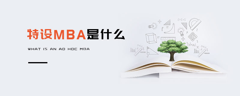 特设MBA是什么