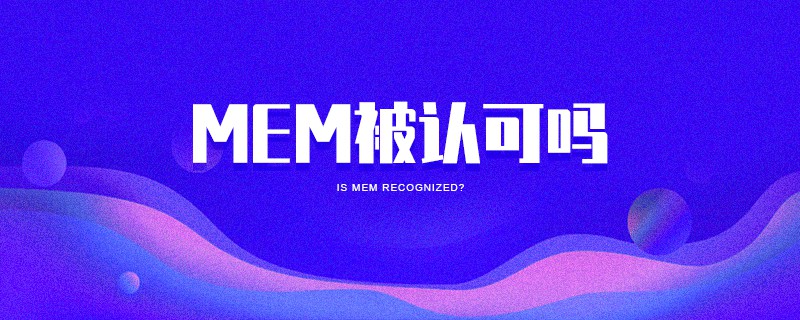 MEM被认可吗