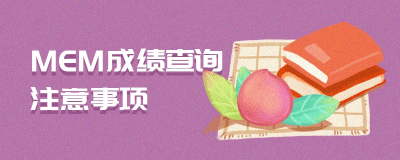 MEM成绩查询注意事项