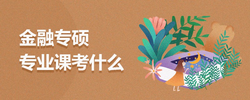 金融专硕专业课考什么