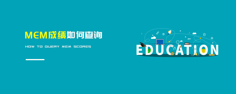 MEM成绩如何查询