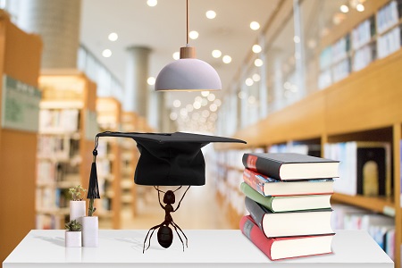  报考合肥工业大学MBA的难度大吗？