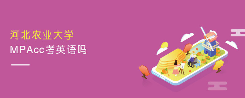 河北农业大学MPAcc考英语吗