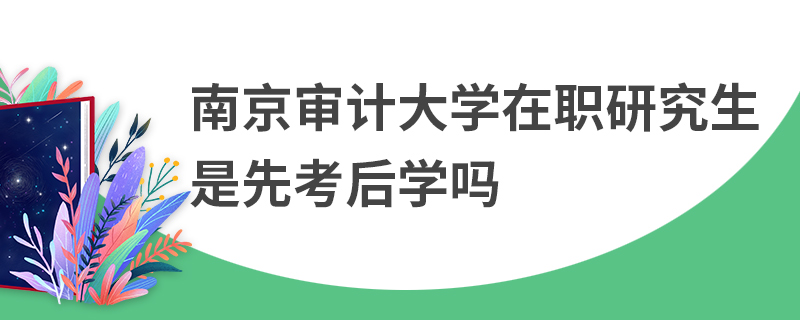 南京审计大学在职研究生是先考后学吗