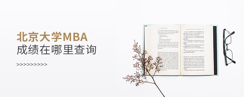 北京大学MBA成绩在哪里查询