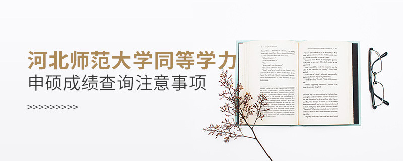 河北师范大学同等学力申硕成绩查询注意事项