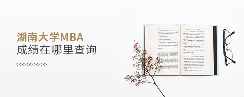 湖南大学MBA成绩在哪里查询