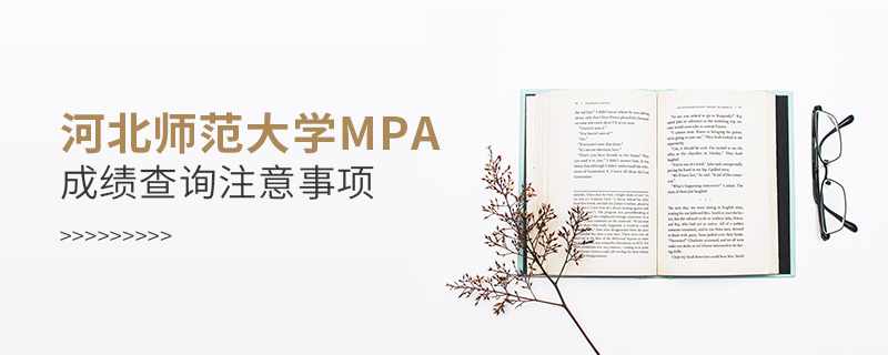 河北师范大学MPA成绩查询注意事项