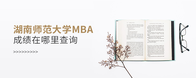 湖南师范大学MBA成绩在哪里查询