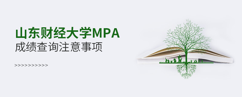 山东财经大学MPA成绩查询注意事项