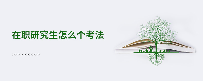 在职研究生怎么个考法