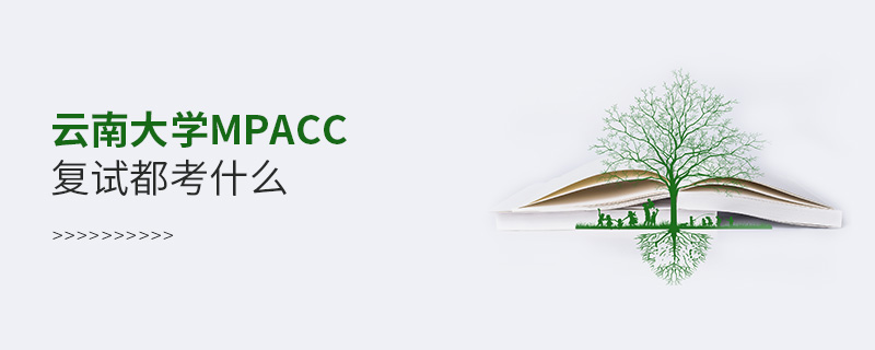 云南大学MPAcc复试都考什么