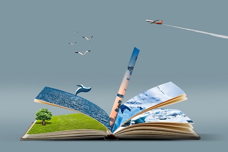 中国政法大学MBA专业成绩在哪里查询？