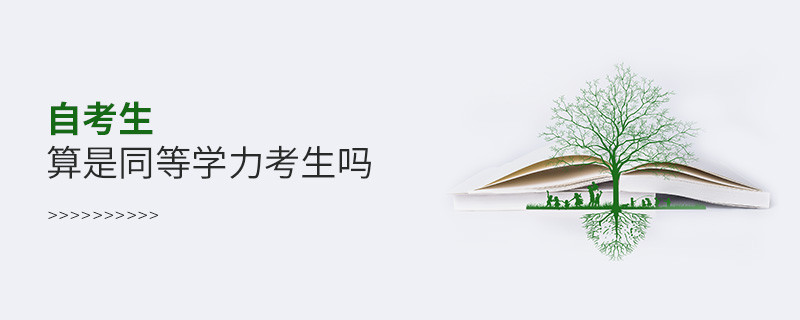自考生算是同等学力考生吗