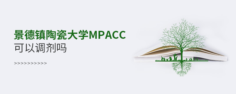 景德镇陶瓷大学MPAcc可以调剂吗