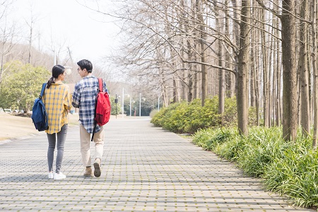 东北大学MPA报考流程！