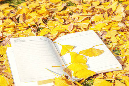 地质资源与地质工程在职研究生报考人群 地质资源与地质工程在职研究生报考人群