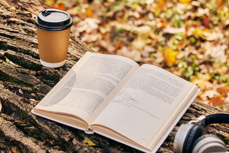 最容易考的在职研究生