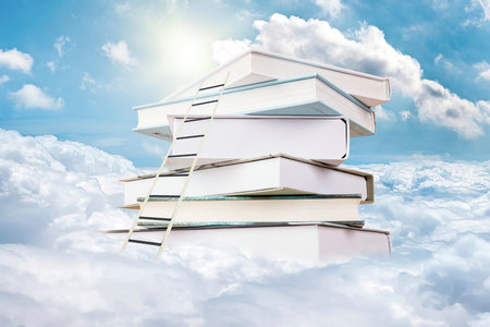 河南财经政法大学MBA报名及考试时间 河南财经政法大学MBA报名及考试时间