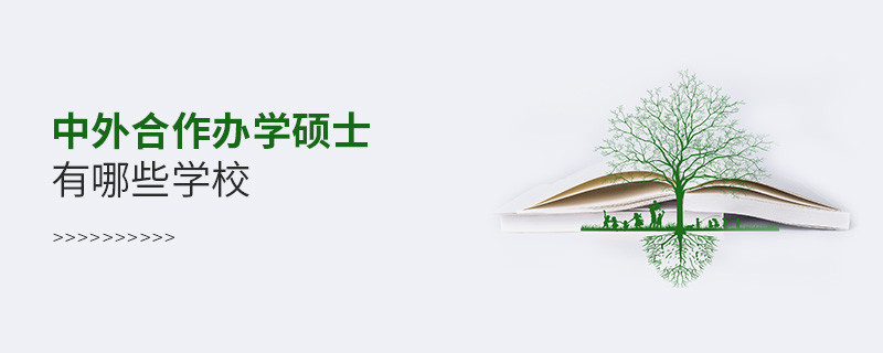 中外合作办学硕士有哪些学校