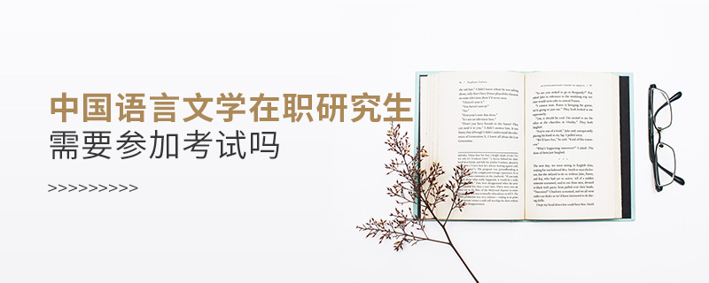 中国语言文学在职研究生需要参加考试吗