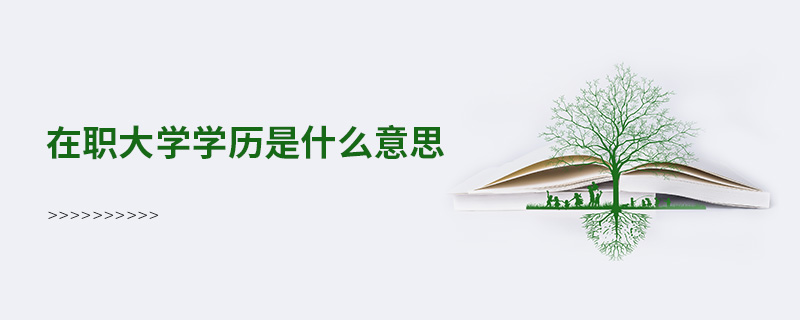在职大学学历是什么意思