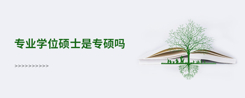 专业学位硕士是专硕吗