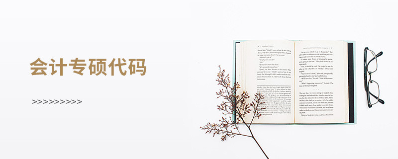 会计专硕代码