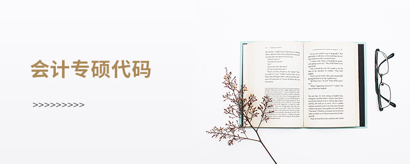 会计专硕代码