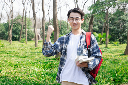 法国诺曼底管理学院国际博士证书