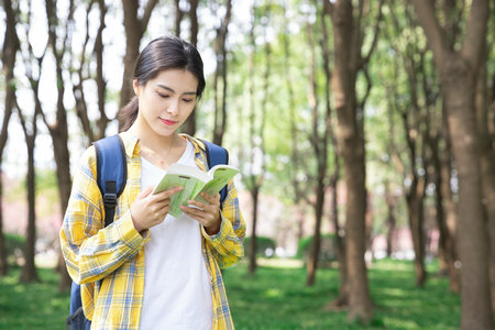 西班牙内布里哈大学国际博士学费