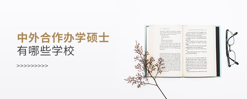 中外合作办学硕士有哪些学校