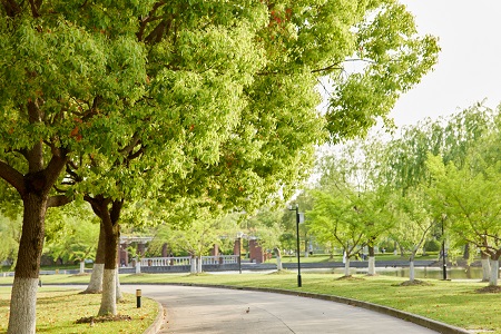 延安大学MPA报考条件2024年
