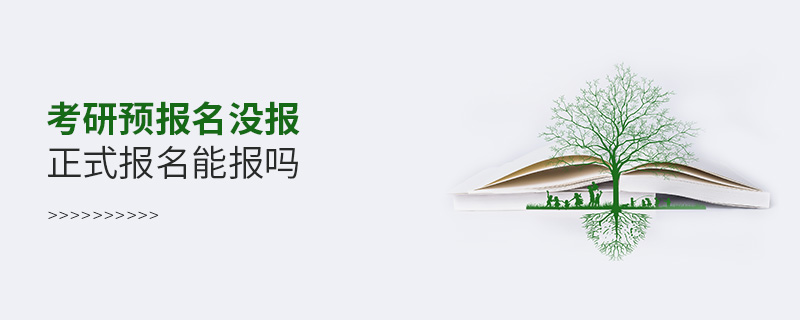 考研预报名没报正式报名能报吗