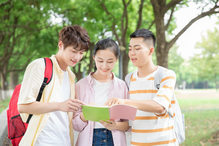 美国西东大学国际硕士报考条件