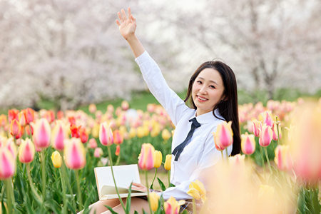 青岛大学MPA报考条件2025年
