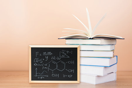南华大学MPAcc报考条件2025年