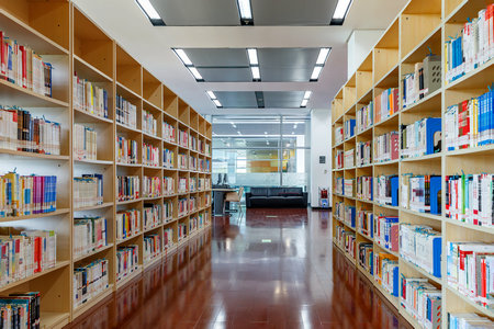 青岛科技大学MEM报考条件