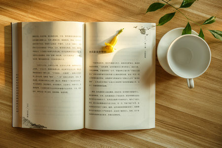 山东建筑大学MEM报考条件2025年