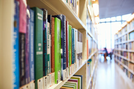新疆师范大学MPA报名入口2025年