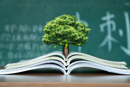 西班牙加泰罗尼亚理工大学国际博士报名入口