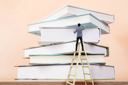 马来西亚林肯大学学院国际博士报名入口2025年