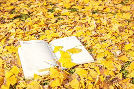 贵州大学MPA报考条件2025年