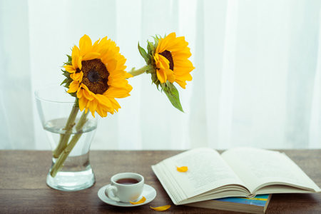 俄罗斯圣彼得堡国立工业技术与设计大学国际博士报考条件及流程2025年