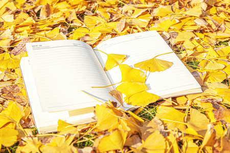 中国计量大学MBA报考条件及流程2025年