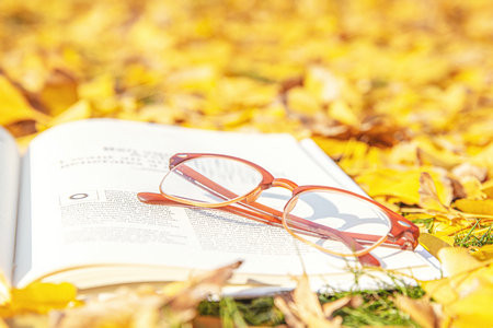 齐齐哈尔大学非全日制研究生报考条件及流程2025年