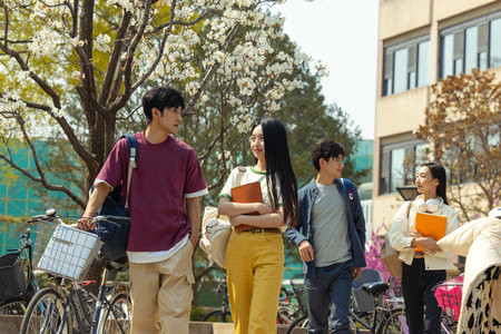 吉林大学MEM报考条件及流程2025年