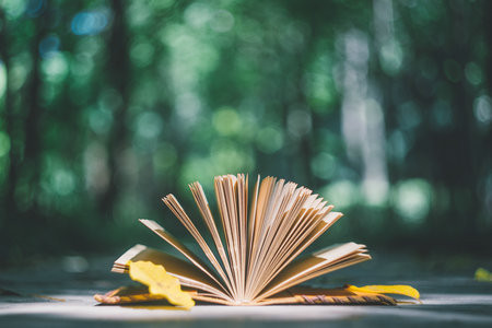 青岛大学MPAcc报考条件及流程2025年