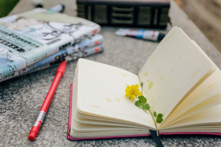 武汉理工大学MBA报考条件及流程2025年